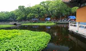 普陀山寺庙 普陀山哪个寺院有圣水