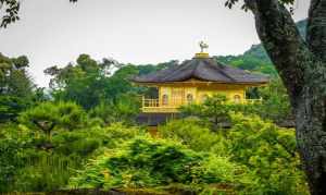 日本京都寺庙门票 日本京都寺庙