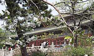 北京哪里祈福 北京市祈福消业的寺院