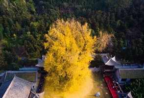 古观音禅寺开放时间 古观音禅寺参观时间