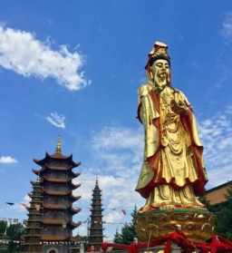 北京朝阳大悲观音寺 北京朝阳大悲观音寺住持是谁