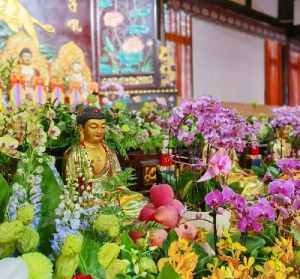 太原寺庙鲜花 太原寺庙鲜花店电话