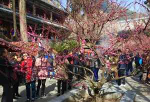 北京的免费寺院 北京免费寺院排名