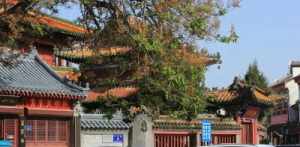 济宁市最大寺院 济宁的寺院