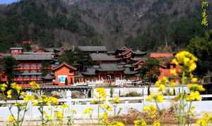 湖北芦花庵 官网 湖北芦花庵寺院