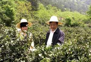 沧州的寺院在哪里 沧州市区哪里有灵验的寺庙