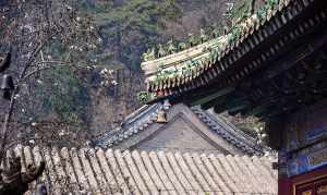 北京寺庙景区 北京寺庙参禅