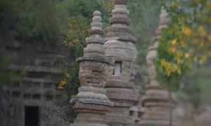 寺院骨灰楼 寺庙 骨灰盒