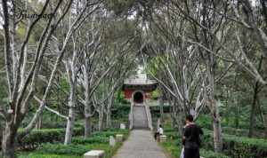 河北的观音寺 河北的观音寺在哪