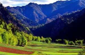 丹山风景 丹山寺庙