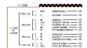 佛教五部大论 佛学的五部大论都是什么