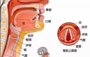 佛法对治喉咙嗓子法门 佛教治咽喉炎咒语