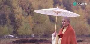 孙悟空拜了两个师父，菩提祖师和三藏法师，他到底喜欢哪个师父 师恩佛法