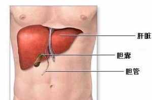 外国古代靠什么治疗疾病 肝病专家告诫：身上出现这2种痣，提示肝脏病变，早就医！指的是哪2种