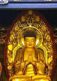 你如何认识佛教的呢 佛法怎么感应