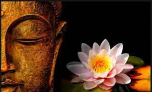 佛教的起源及发展 佛法起观