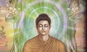 遮天中释迦牟尼为什么是叛徒 释迦摩尼的佛法