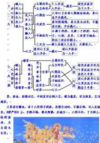 净土说要信有极乐世界，禅宗说凡所有相皆是虚妄，到底谁对？为啥 佛法真理照片