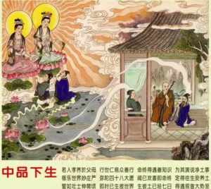 佛教、道教、儒家和普通人分别怎么看待“买鱼放生”这种行为 佛法的放弃