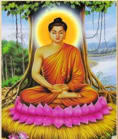 佛教中有准提和接引吗？释迦摩尼佛和阿弥驼佛什么关系？他们的来历是什么？我要正解，不要小说 佛教的创始人是谁