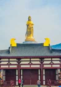 观音禅院连云港 上海宝山区哪里有寺庙