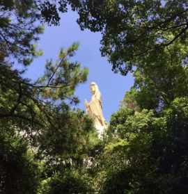 普陀山烧香顺序 普陀山观音进香