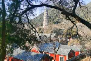 济南发展的如何 灵岩寺和尚有工资吗
