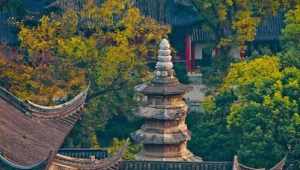 普陀山千手观音属于哪个寺庙 南京有观音寺庙
