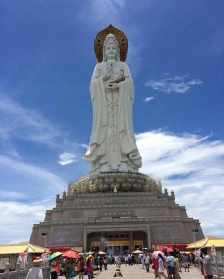 烟台什么地方收玉器 多肉玉龙观音烟台，刚扦插的玉龙观音叶子变软怎么办