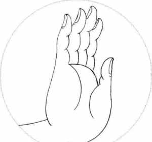 日式观音菩萨手印 瑜伽中，智慧手印的原理是什么？练瑜伽有哪些技巧