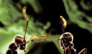 小和尚因为救了蚂蚁 人能通过努力改变自己的命运嘛？特别是农出来的80，90后