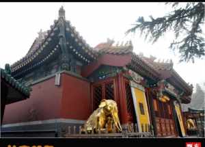 北京石景山区有哪些古迹和仿古建筑 北京灵光寺首座和尚