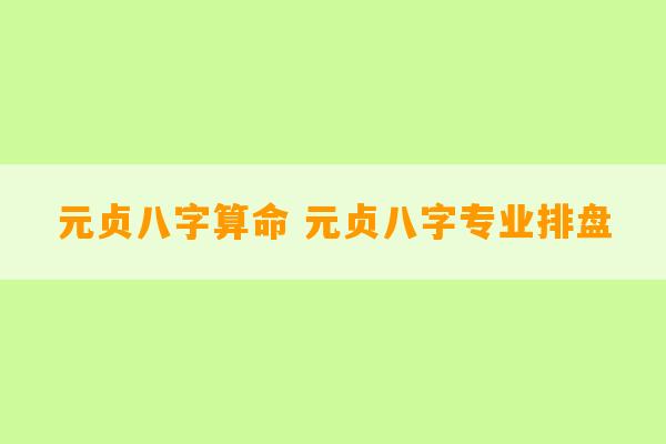 元贞八字算命 元贞八字专业排盘