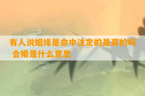 有人说姻缘是命中注定的是真的吗 合婚是什么意思