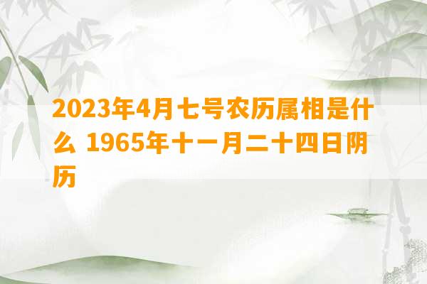 2023年4月七号农历属相是什么 1965年十一月二十四日阴历