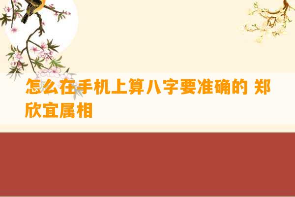 怎么在手机上算八字要准确的 郑欣宜属相