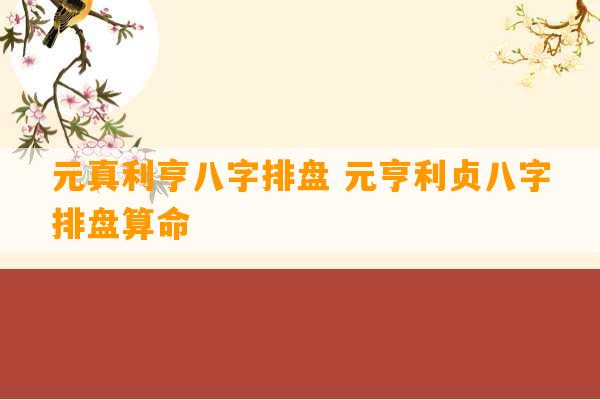 元真利亨八字排盘 元亨利贞八字排盘算命